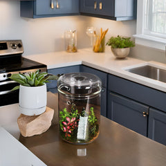 Tanzeon side profile showing tall jar proportions and tabletop scale for small spaces