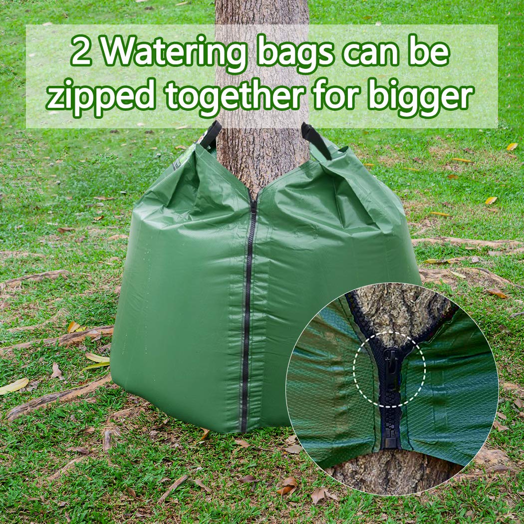 Tanzfrosch multiple bags zipped around a large tree for uniform irrigation