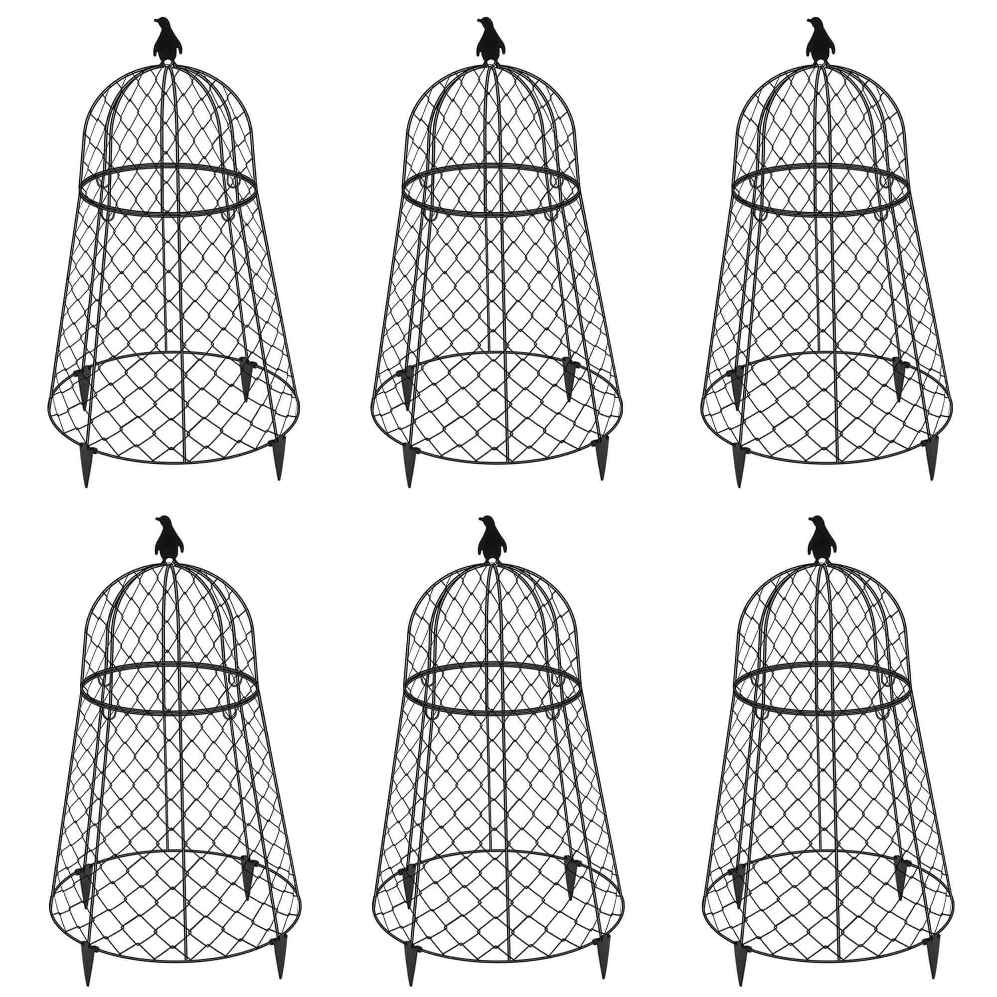 TAOMENNI front view of six cloches showing package and protective use