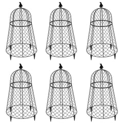 TAOMENNI front view of six cloches showing package and protective use