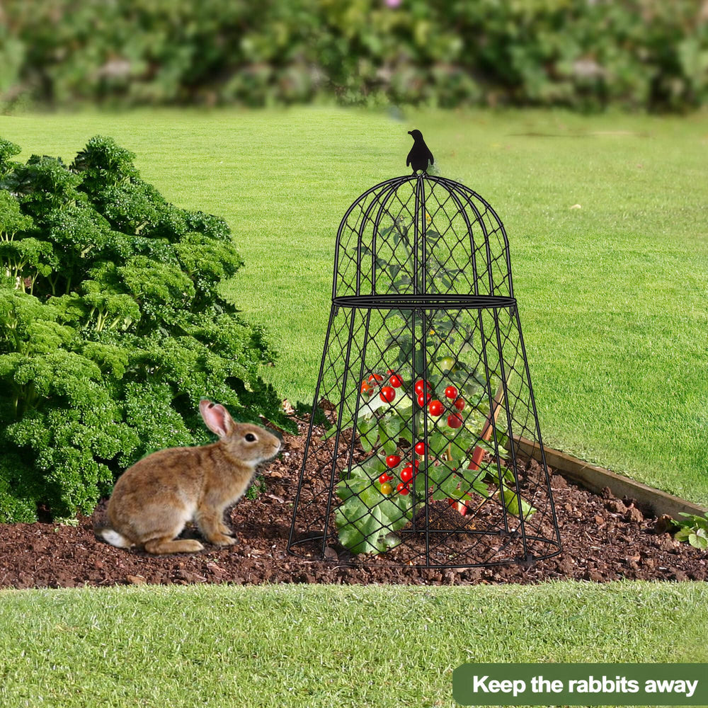 TAOMENNI six cloches arranged in a garden to protect multiple plants