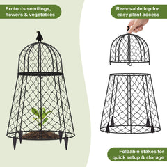 TAOMENNI split-design open top showing easy access for watering