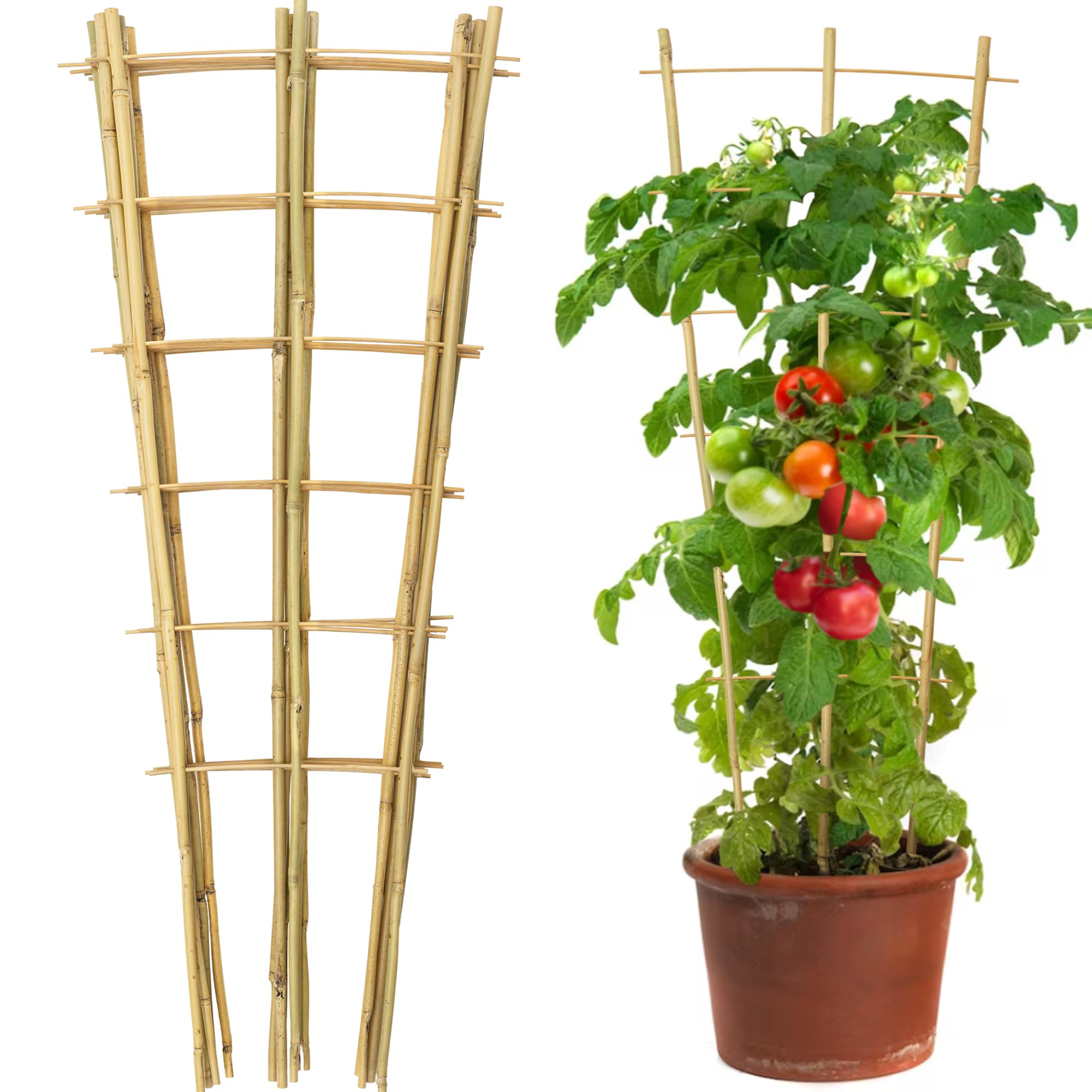 Taoskai front view of 10-pack fan-shaped trellises showing compact packaging and natural finish