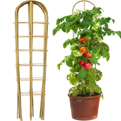 Taoskai front view of three U-shape bamboo trellises showing neat support