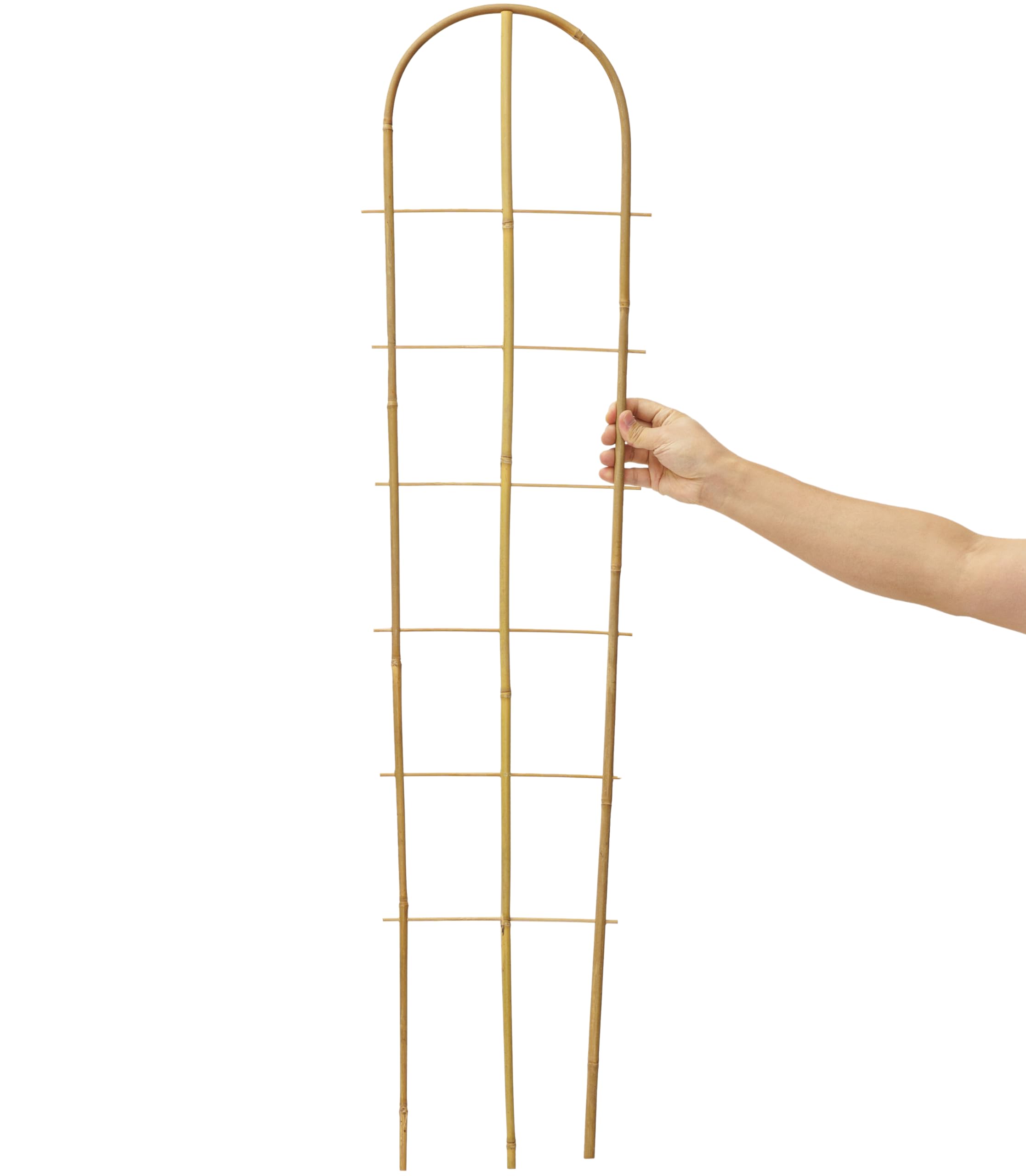 Taoskai trellises placed in a garden pot illustrating aesthetic support