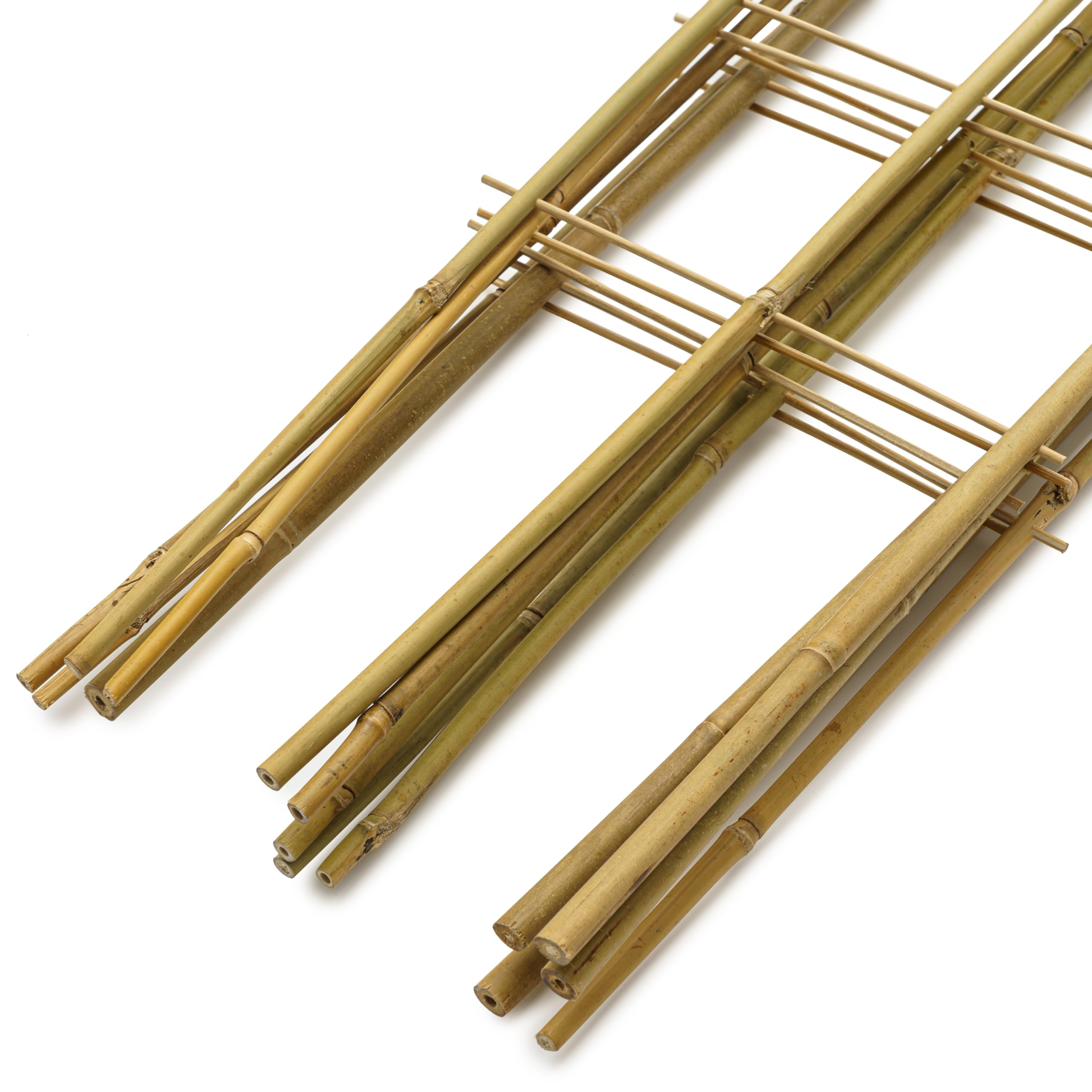 Taoskai label and dimensions on bamboo trellis clarifying size details