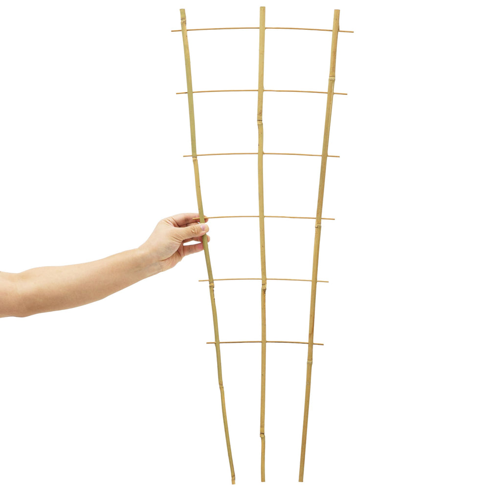 Taoskai trellis held beside a hand indicating 3ft height scale for planning placements
