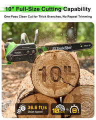 TaskStar 10-inch guide bar closeup showing cleaner, faster cutting