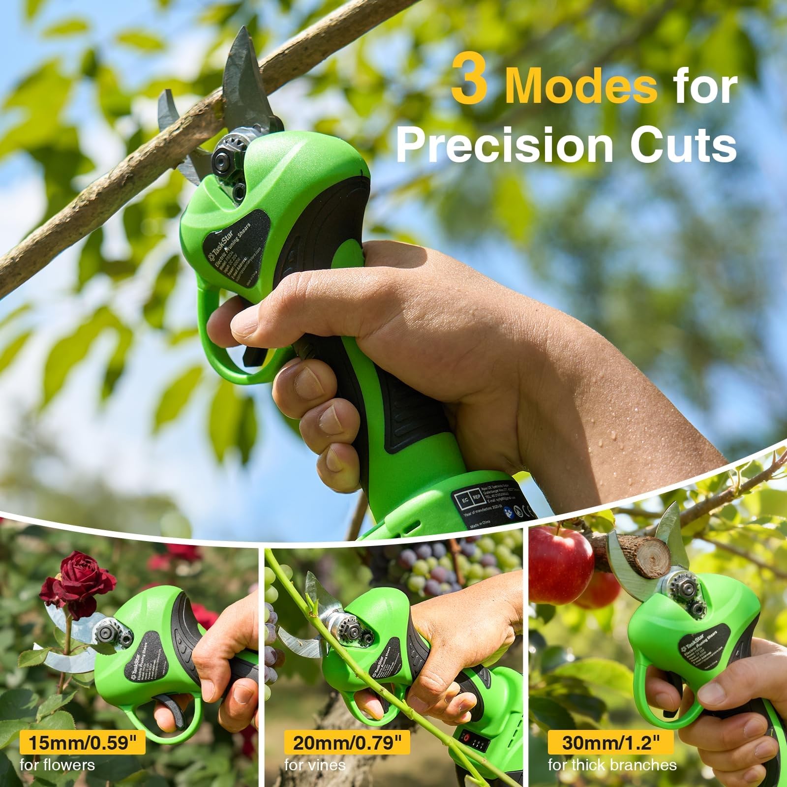 TaskStar pruner in use reaching high branch for ladder-free trimming