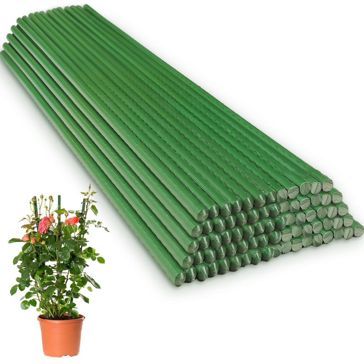 Tatuo front bundle of 60 stakes showing quantity and neat packaging for easy garden setup