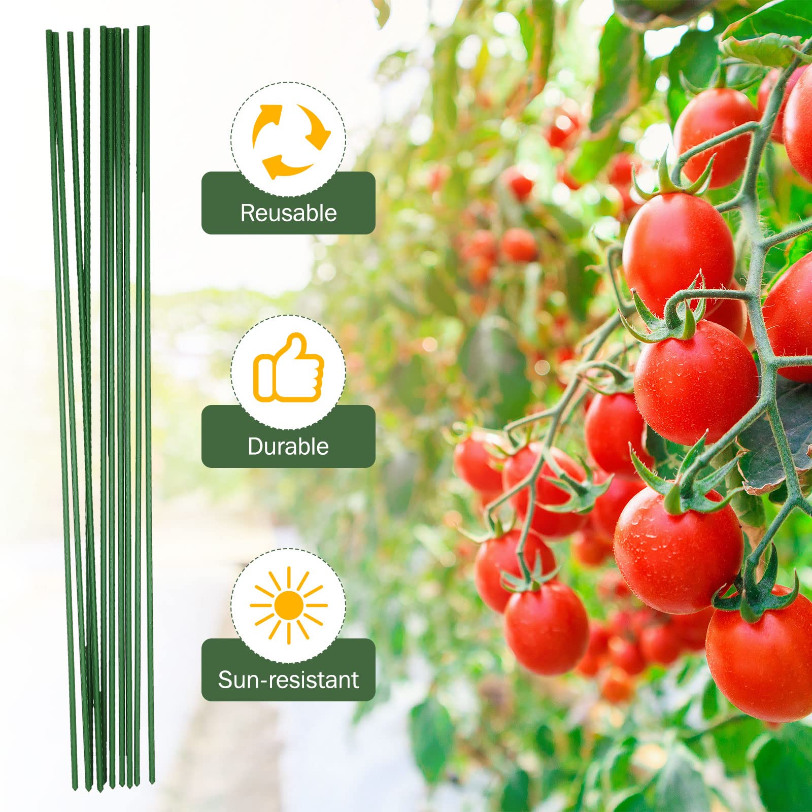 Tatuo stakes in garden bed lifestyle scene showing tidy vines and space-saving support