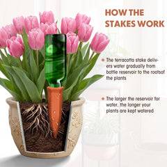 Tatuo spike inserted in pot demonstrating steady plant hydration