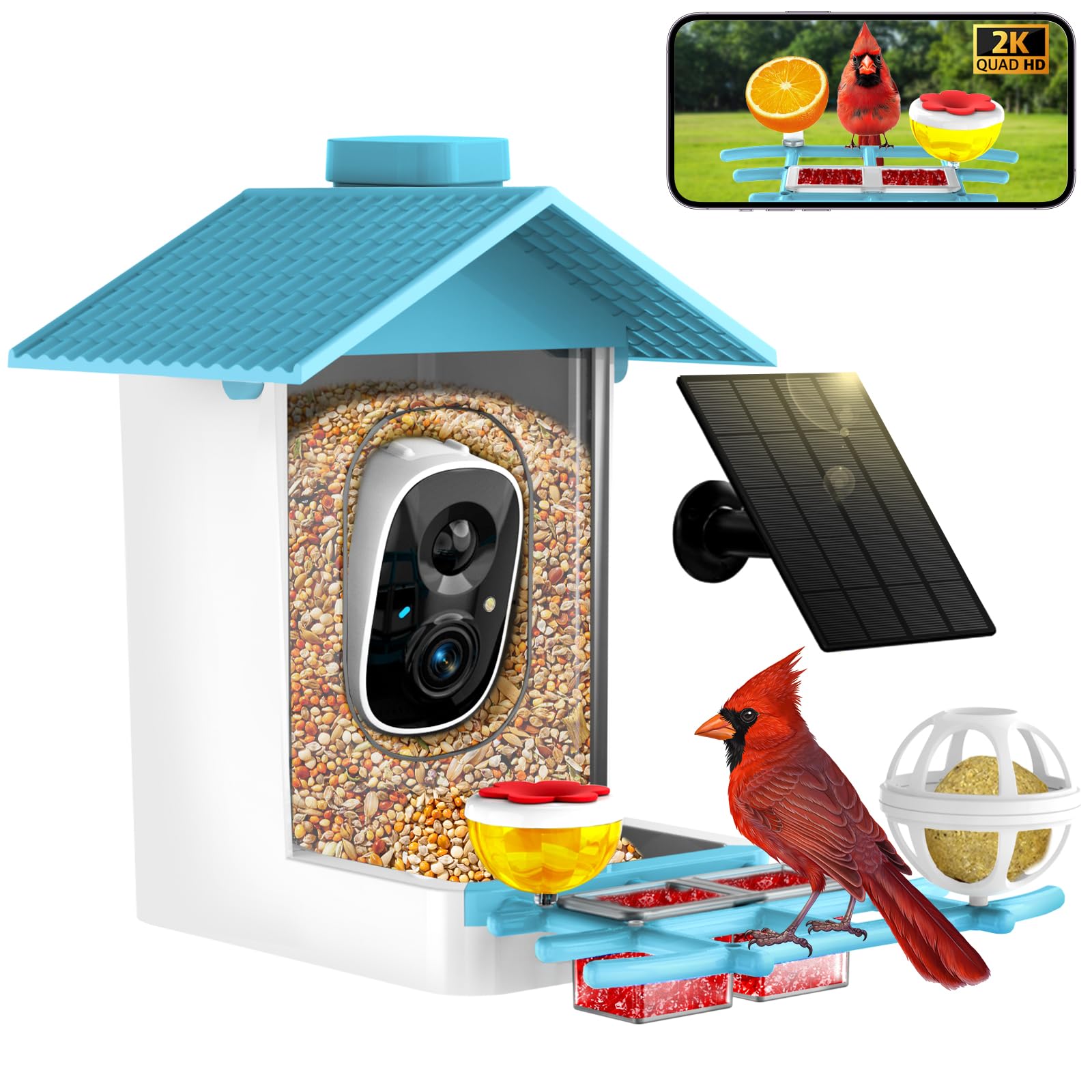 TayePin front view showing feeder and camera, clear monitoring benefit