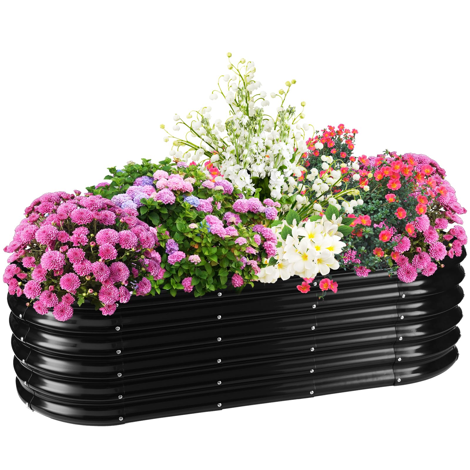 TBMLC front view of oval galvanized planter showing sleek black finish and shape benefits