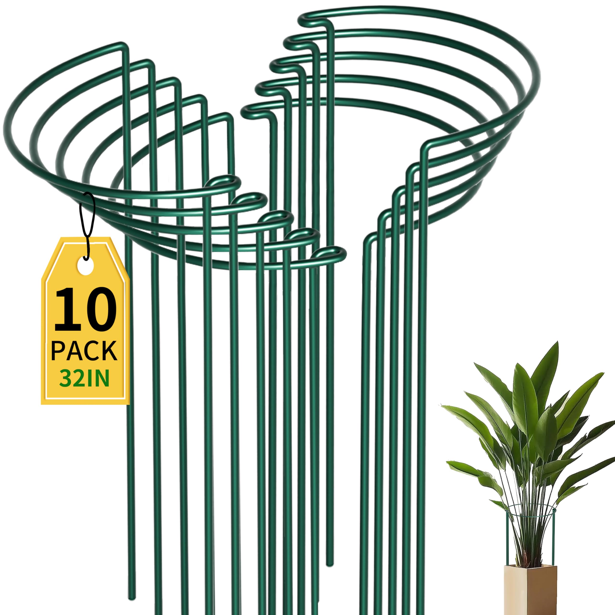 TCBWFY front view assembled plant cage showing sturdy support