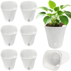 TCBWFY front view of eight self-watering pots showing set benefit