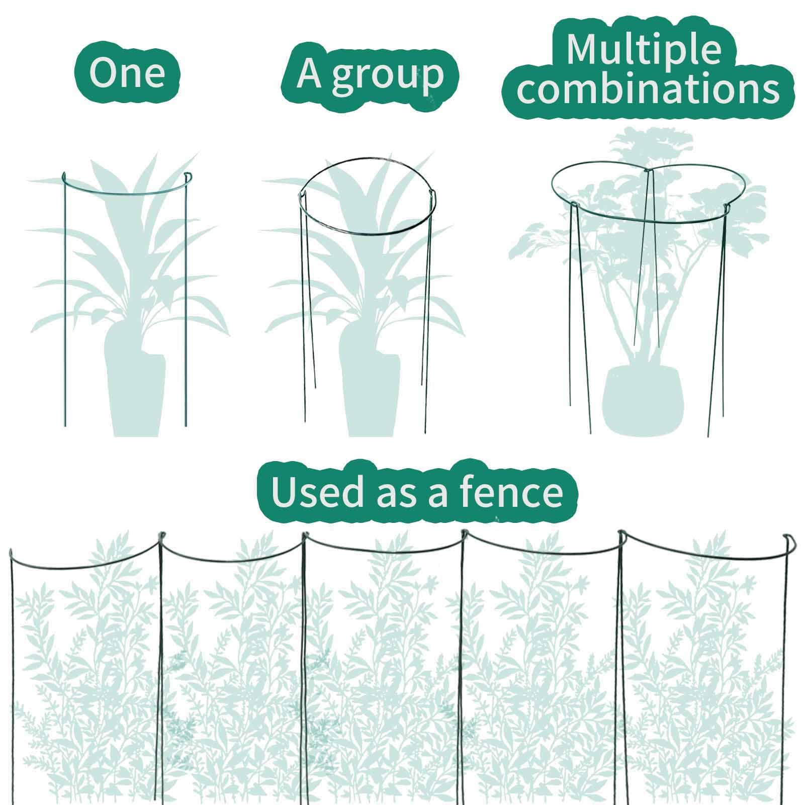 TCBWFY in use supporting peony heavy blooms to prevent flopping