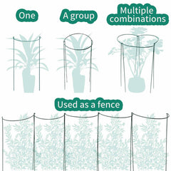 TCBWFY in use supporting peony heavy blooms to prevent flopping