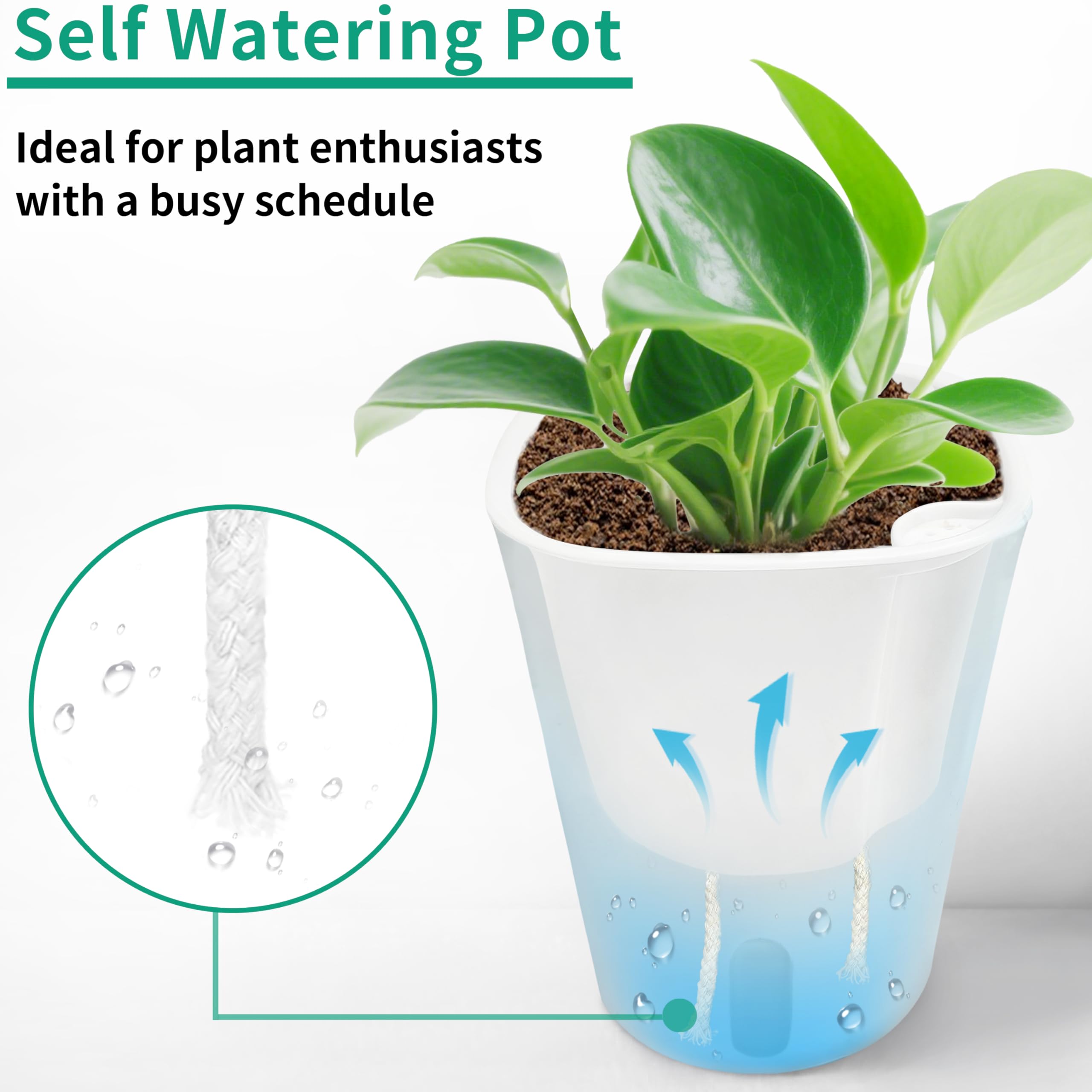 TCBWFY inner and outer pots separated to show drainage and reservoir