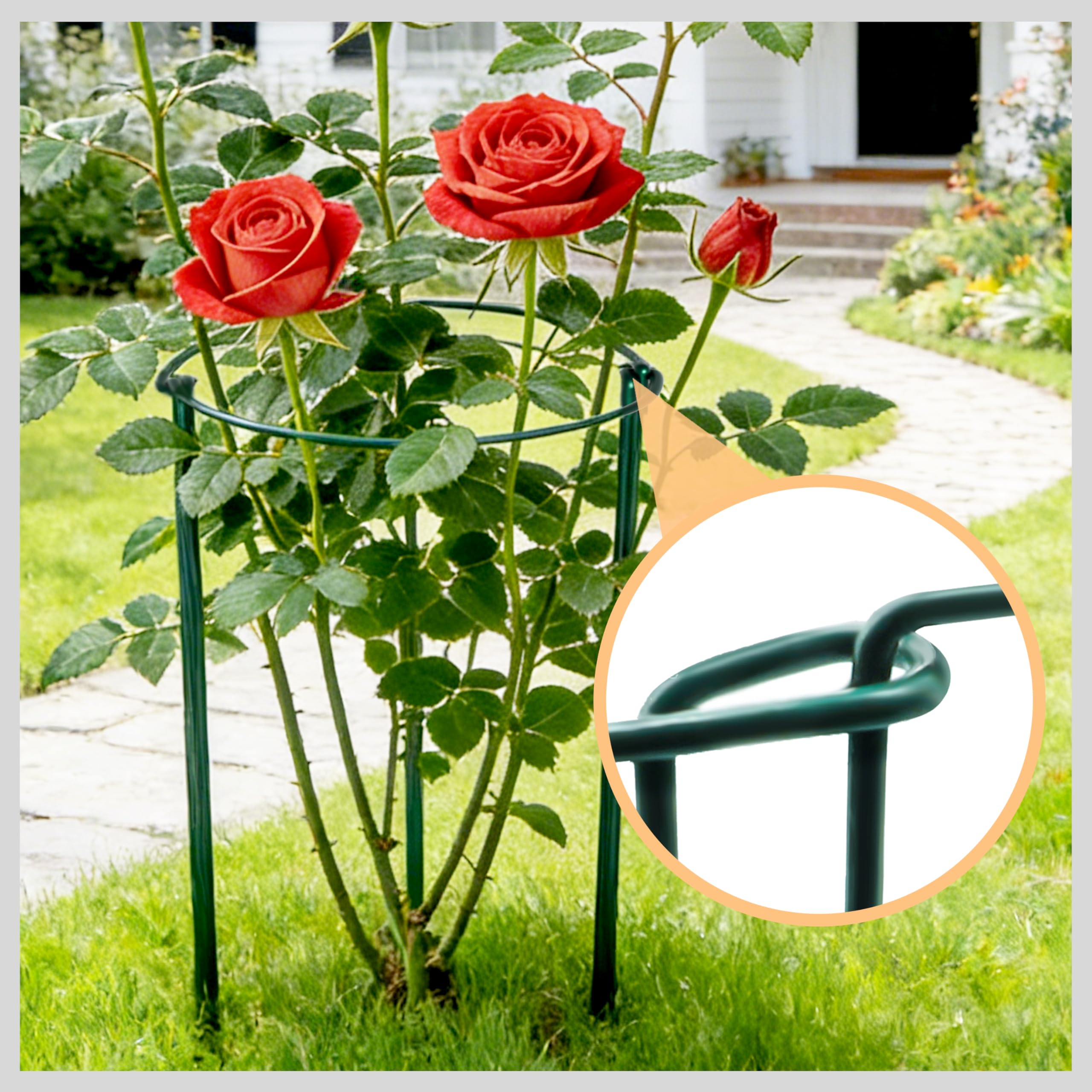 TCBWFY varias jaulas en un jardín sosteniendo peonías y tomates