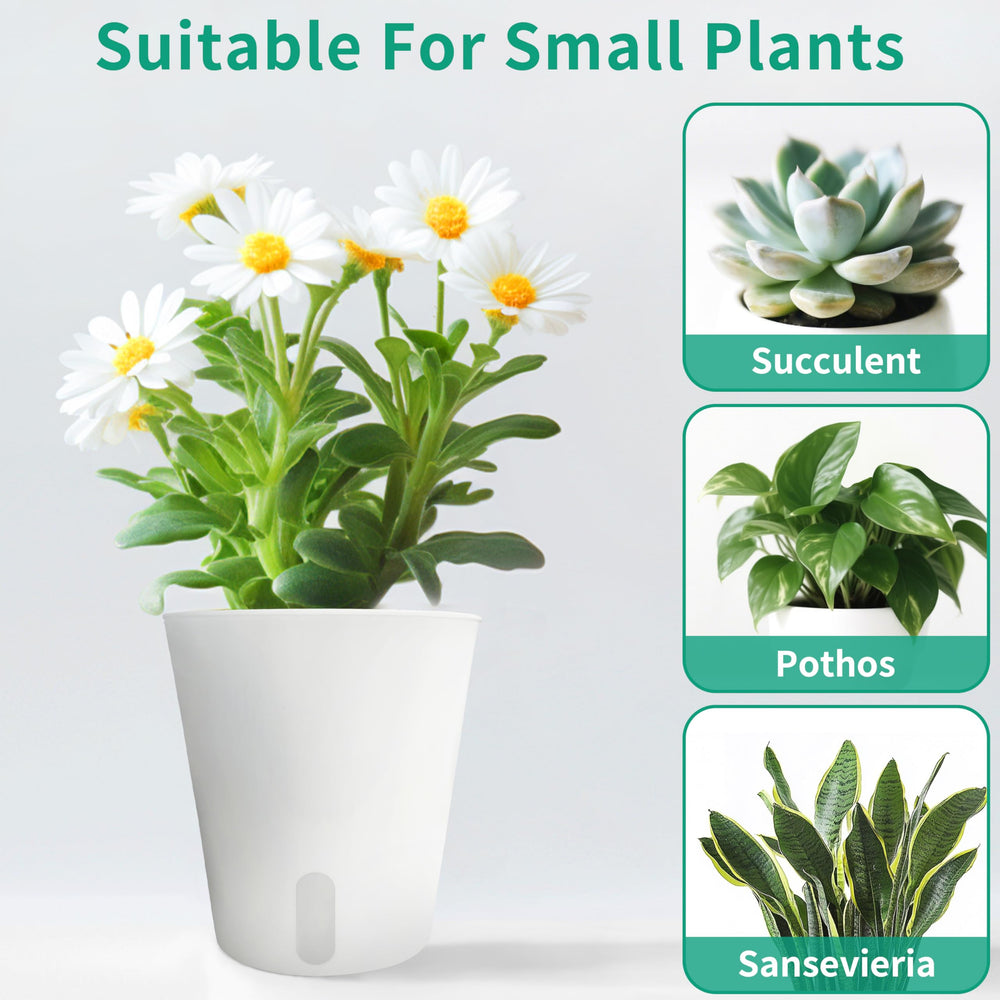 TCBWFY lifestyle shot of planters on windowsill enhancing decor