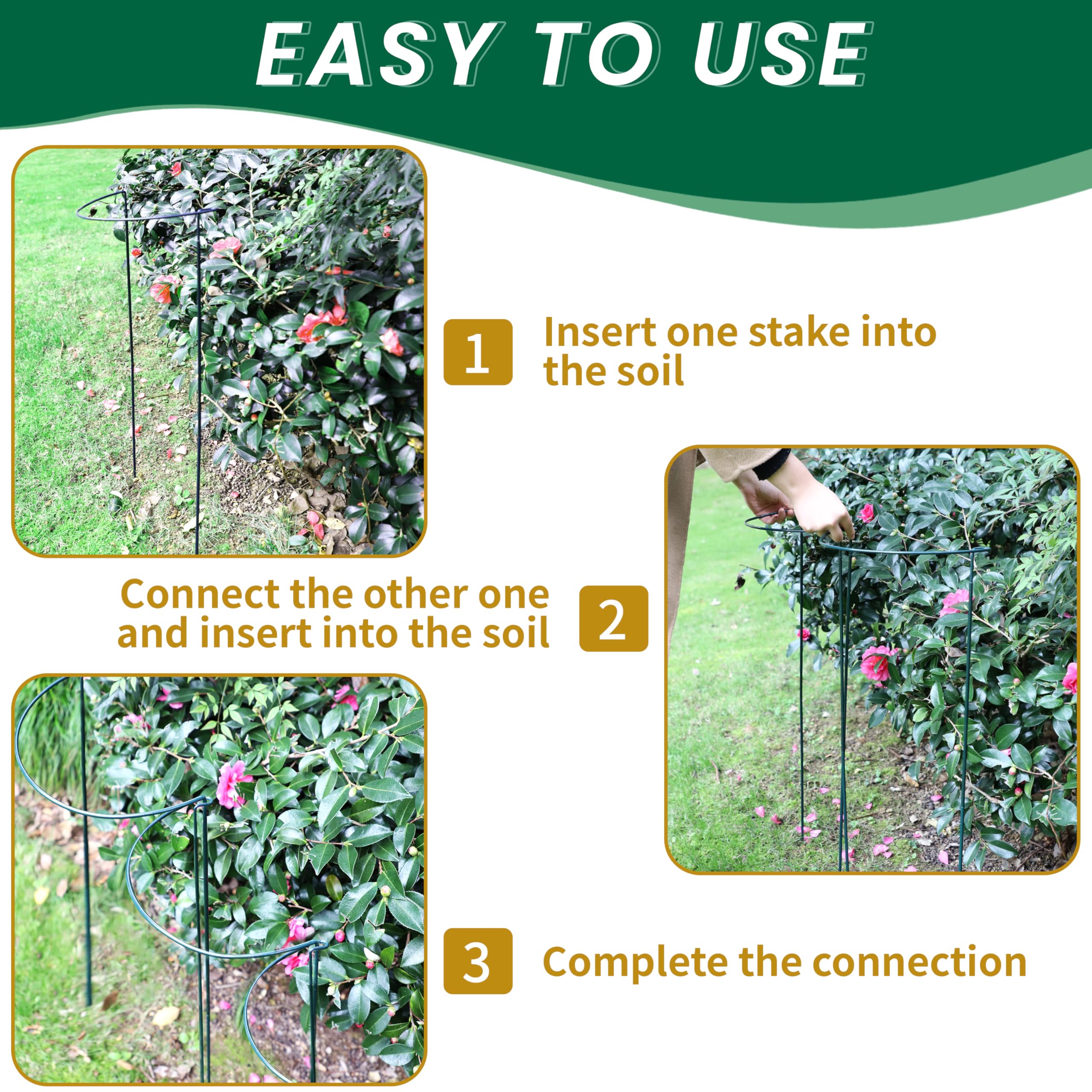 TCBWFY row border along pathway keeping garden paths clear