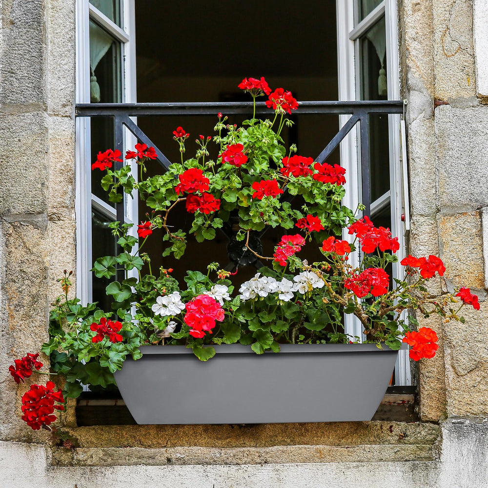 tcevily planter beside ruler showing accurate dimensions for planting planning