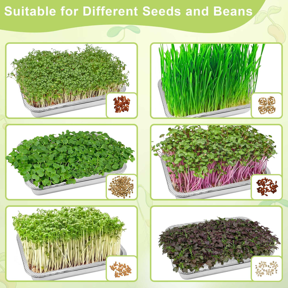 TCYPUHL trays in use with germinating seeds showing efficient sprout growth