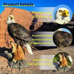 Teaeeno eagle on base next to ruler showing scale and compact footprint