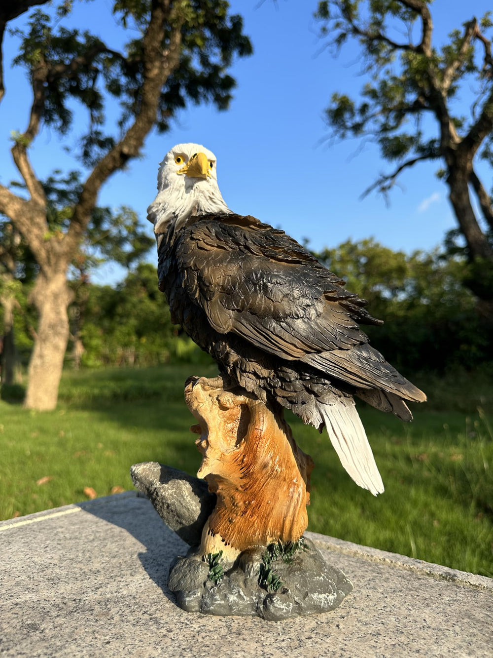 Teaeeno eagle front view showing lifelike pose and outdoor-ready finish