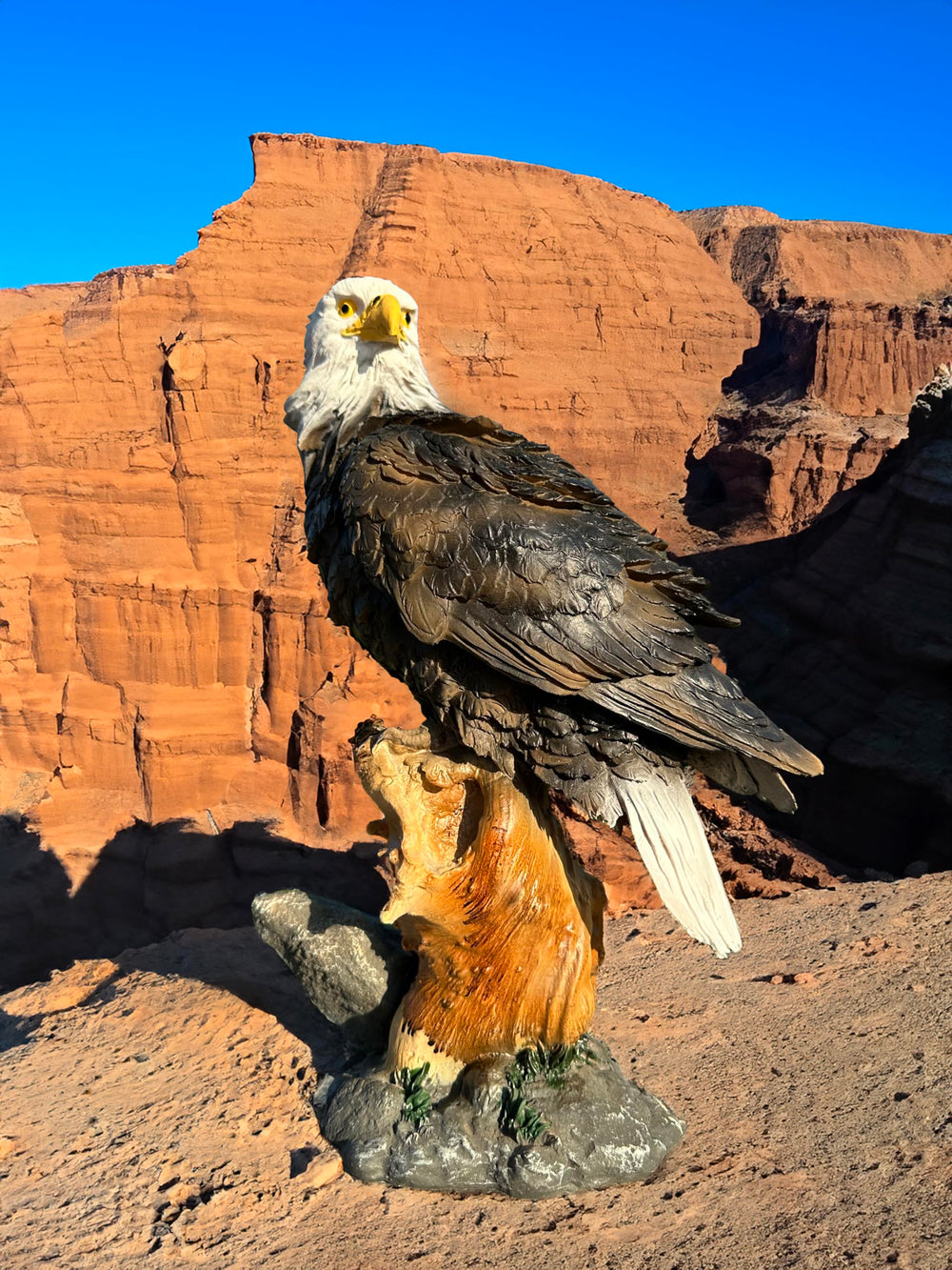 Teaeeno eagle with seasonal props displaying versatility for holidays