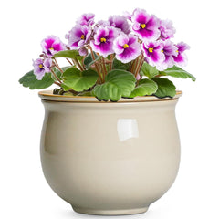 Teagas front view beige ceramic pot showing elegant shape and stylish decor benefit