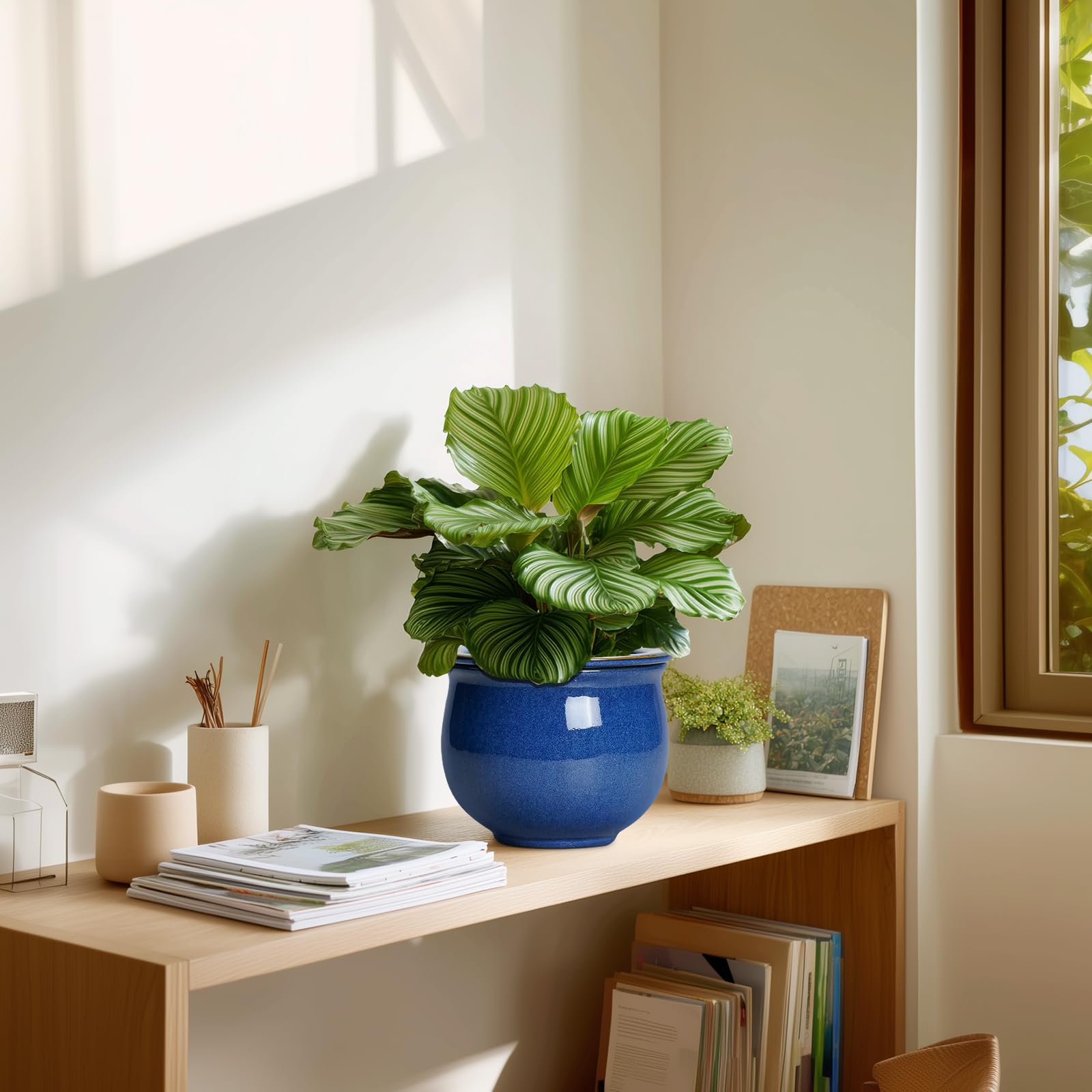 Teagas on a desk in a cozy room adding decorative greenery benefits