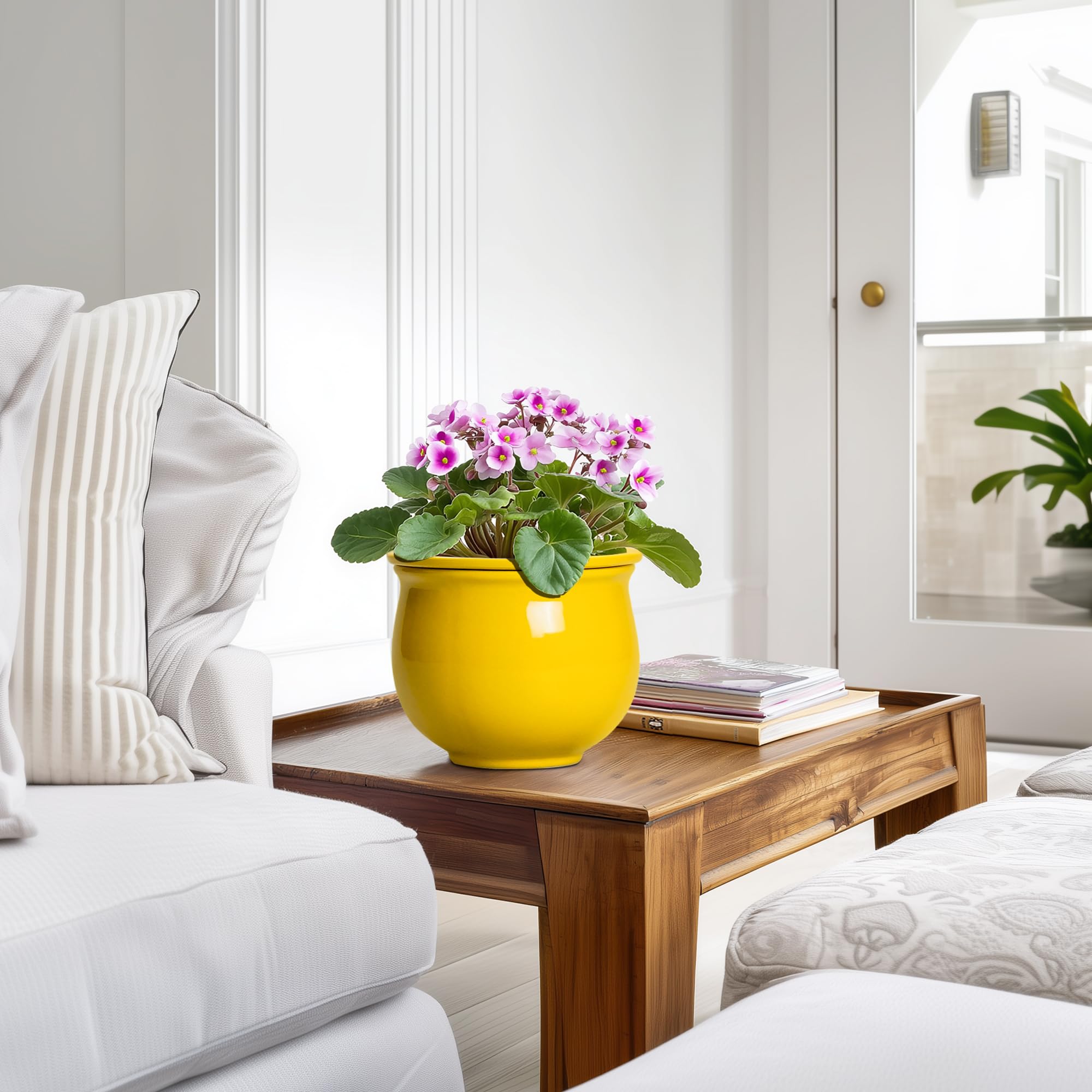 Teagas planter on kitchen windowsill adding cheerful decor and function