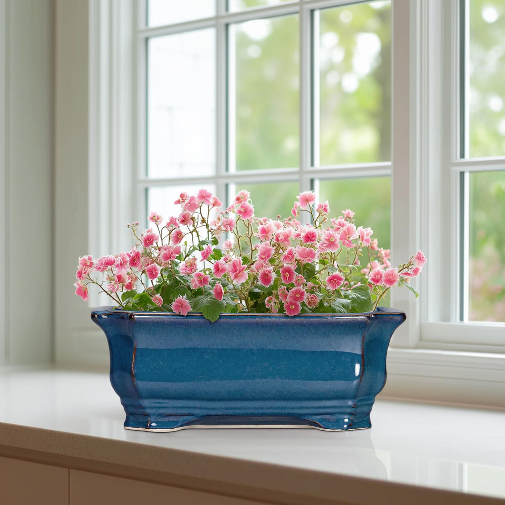 Teagas on a sunlit windowsill, demonstrates outdoor-indoor versatility and natural light use