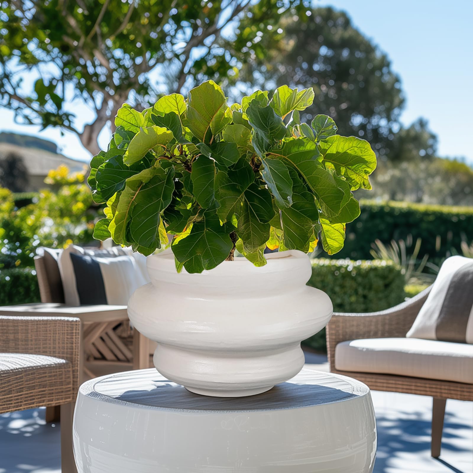 Teagas pot on patio with plants demonstrating outdoor styling versatility