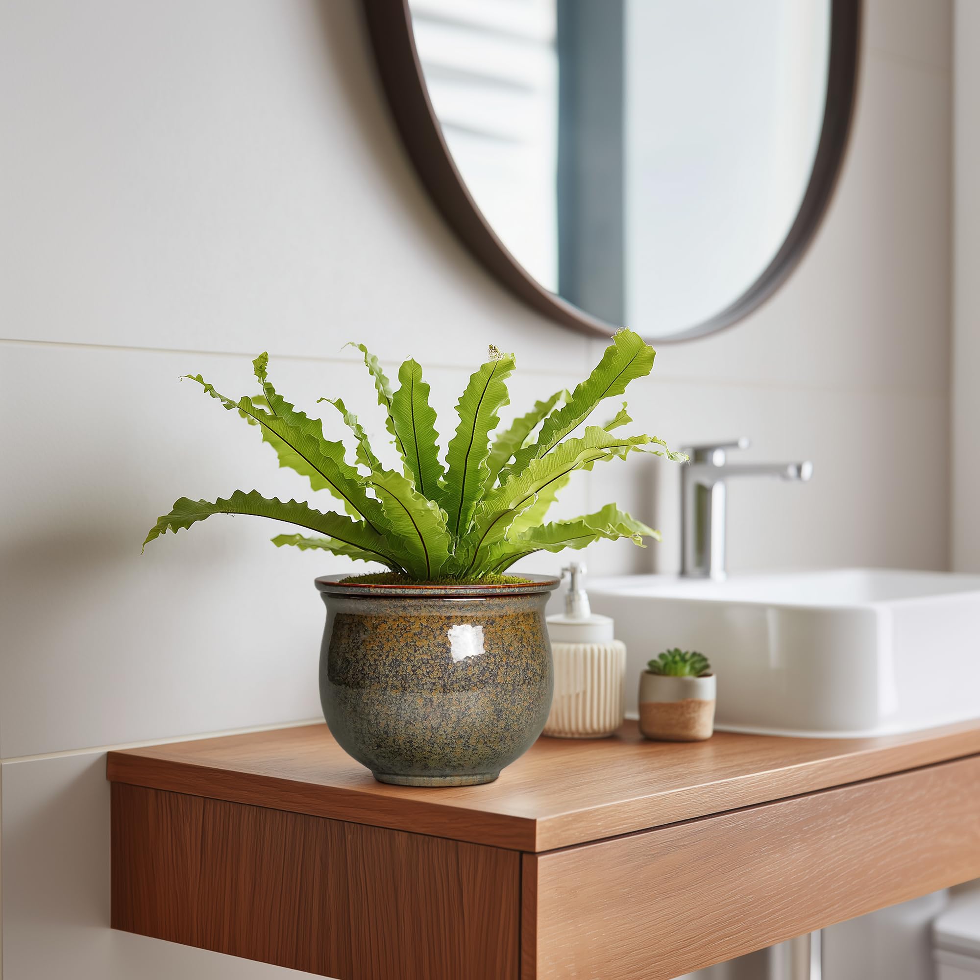 Teagas planter on bathroom shelf demonstrating humidity-friendly, space-saving decor