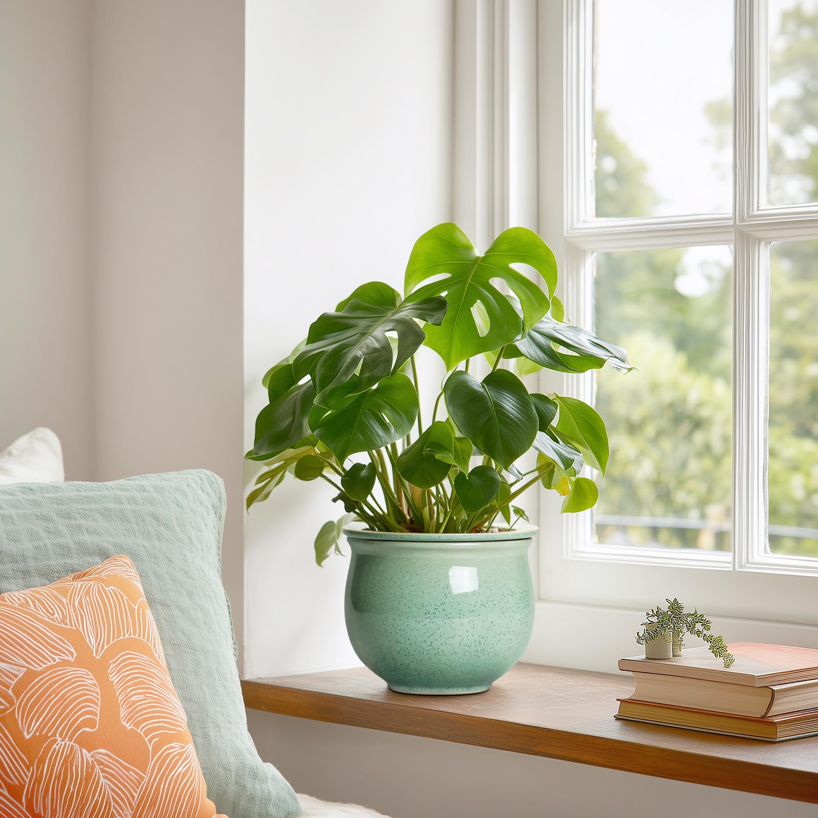 Teagas planter with African violet in use on windowsill providing sustained root hydration