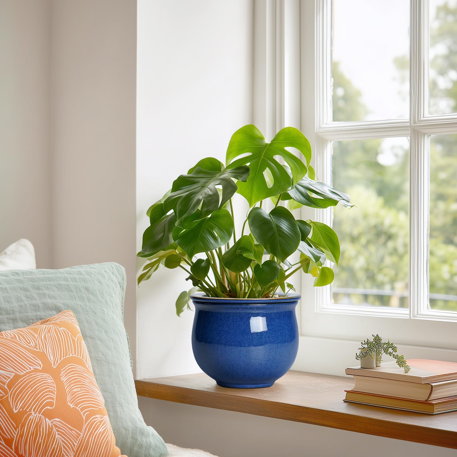 Teagas planter with African violet demonstrating healthy plant display