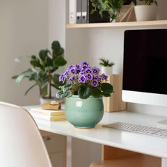 Teagas glazed texture detail highlighting handcrafted finish and durable ceramic benefit