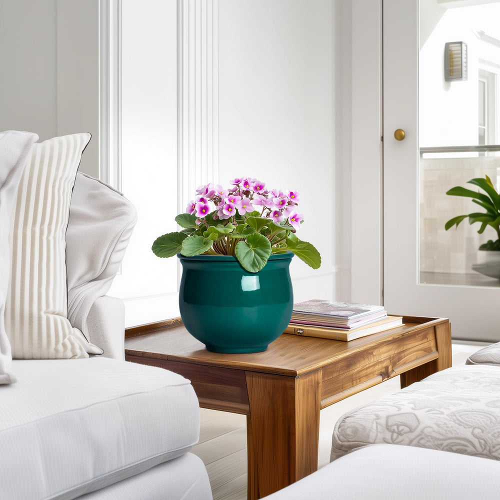 Teagas planter size and scale comparison on table showing compact footprint for small spaces