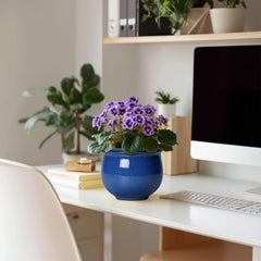 Teagas glaze texture and ceramic detail showcasing durable finish