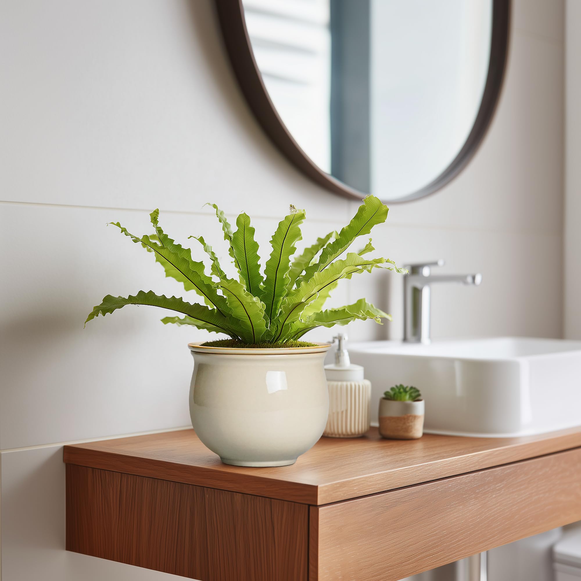 Teagas texture glaze detail highlighting durable finish and stain-resistant benefit