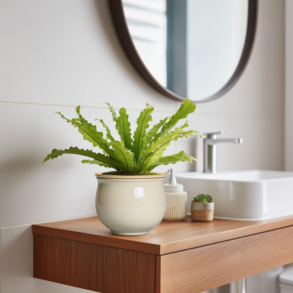 Teagas texture glaze detail highlighting durable finish and stain-resistant benefit