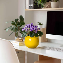 Teagas glazed ceramic texture detail emphasizing durable finish