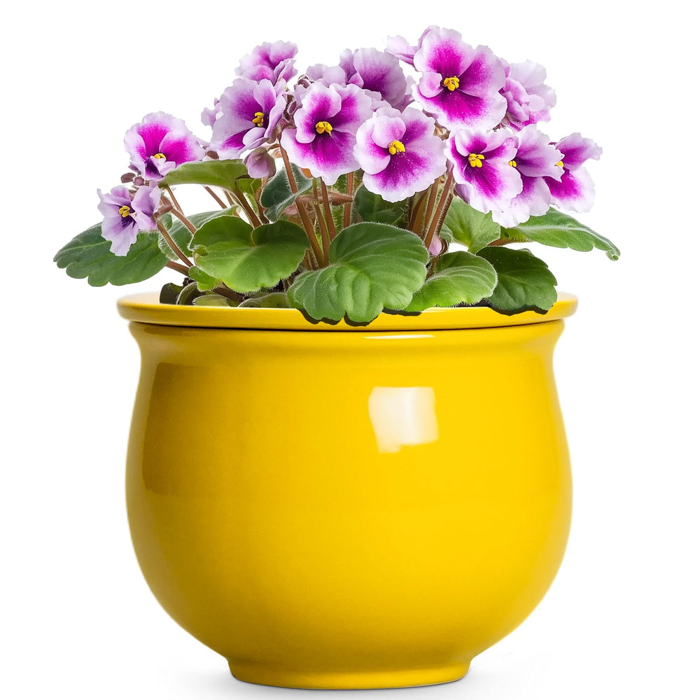 Teagas yellow ceramic planter front view showing clean design and easy styling