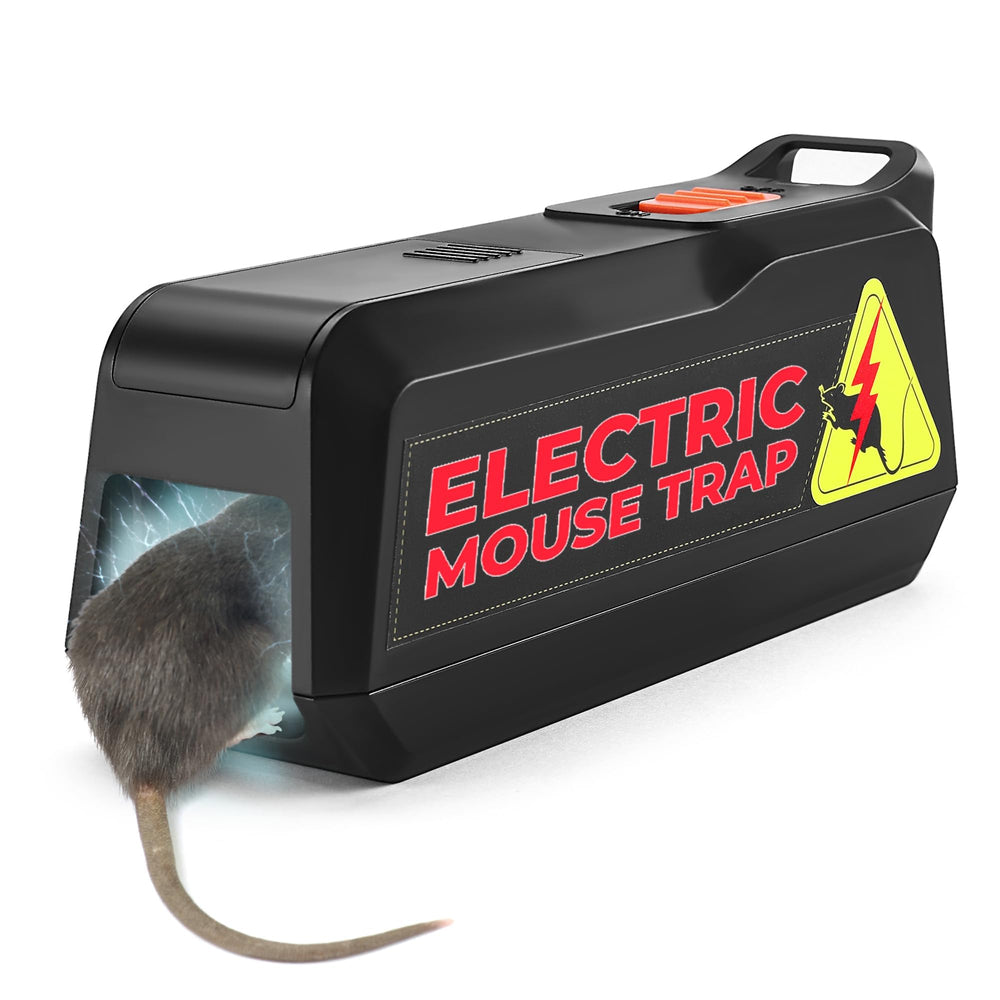 Teal Elite front packaging showing product and pack details for quick identification and trust