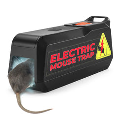 Teal Elite front packaging showing product and pack details for quick identification and trust