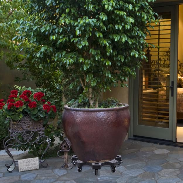 TECHYANG caddy next to ruler showing 20-inch scale and fit for large pots benefit
