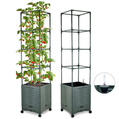 TeCreatio front view of planter showing tall box and healthy tomato support benefit